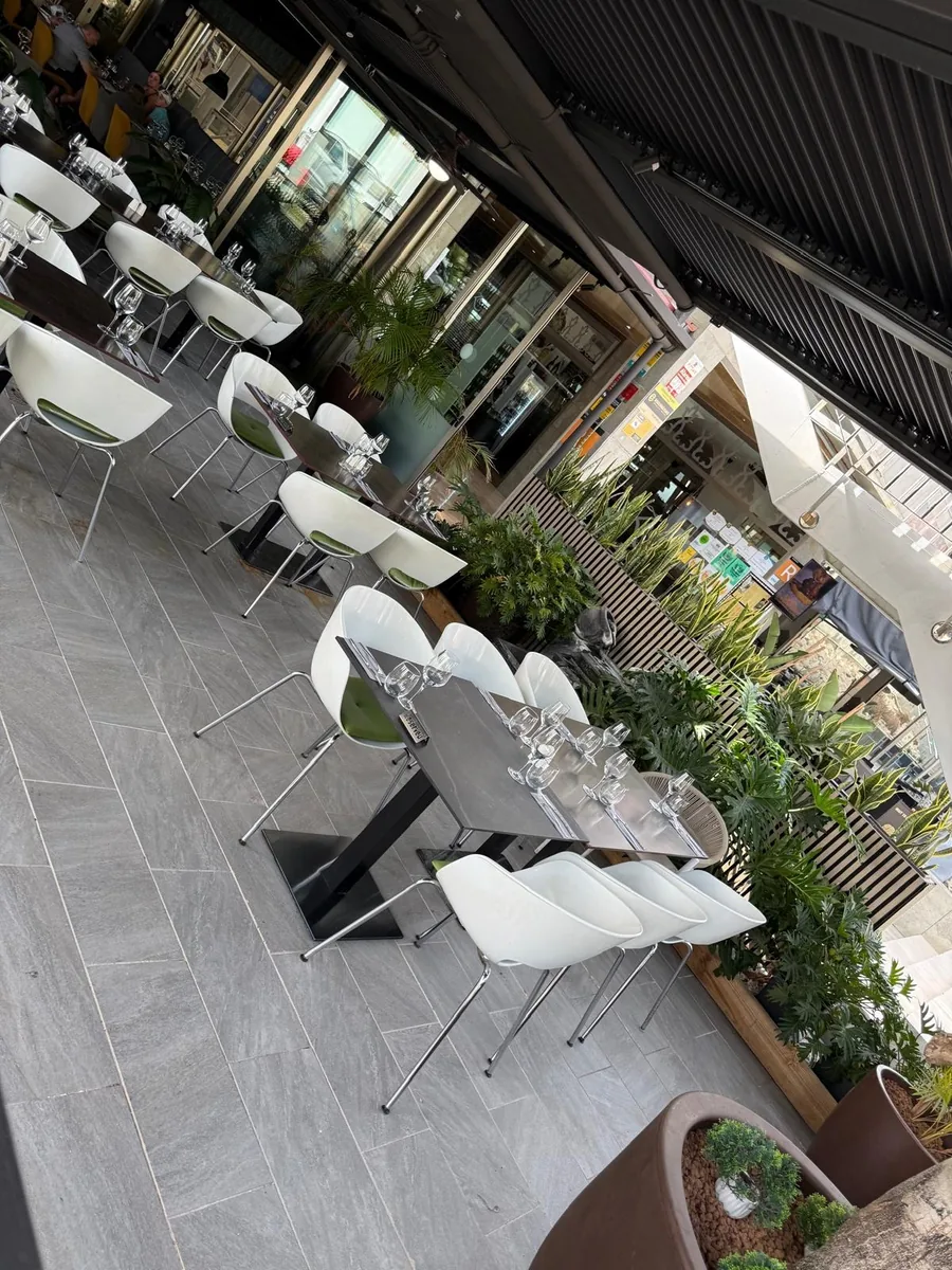 The terrace laid for service: white chairs along a row of plants